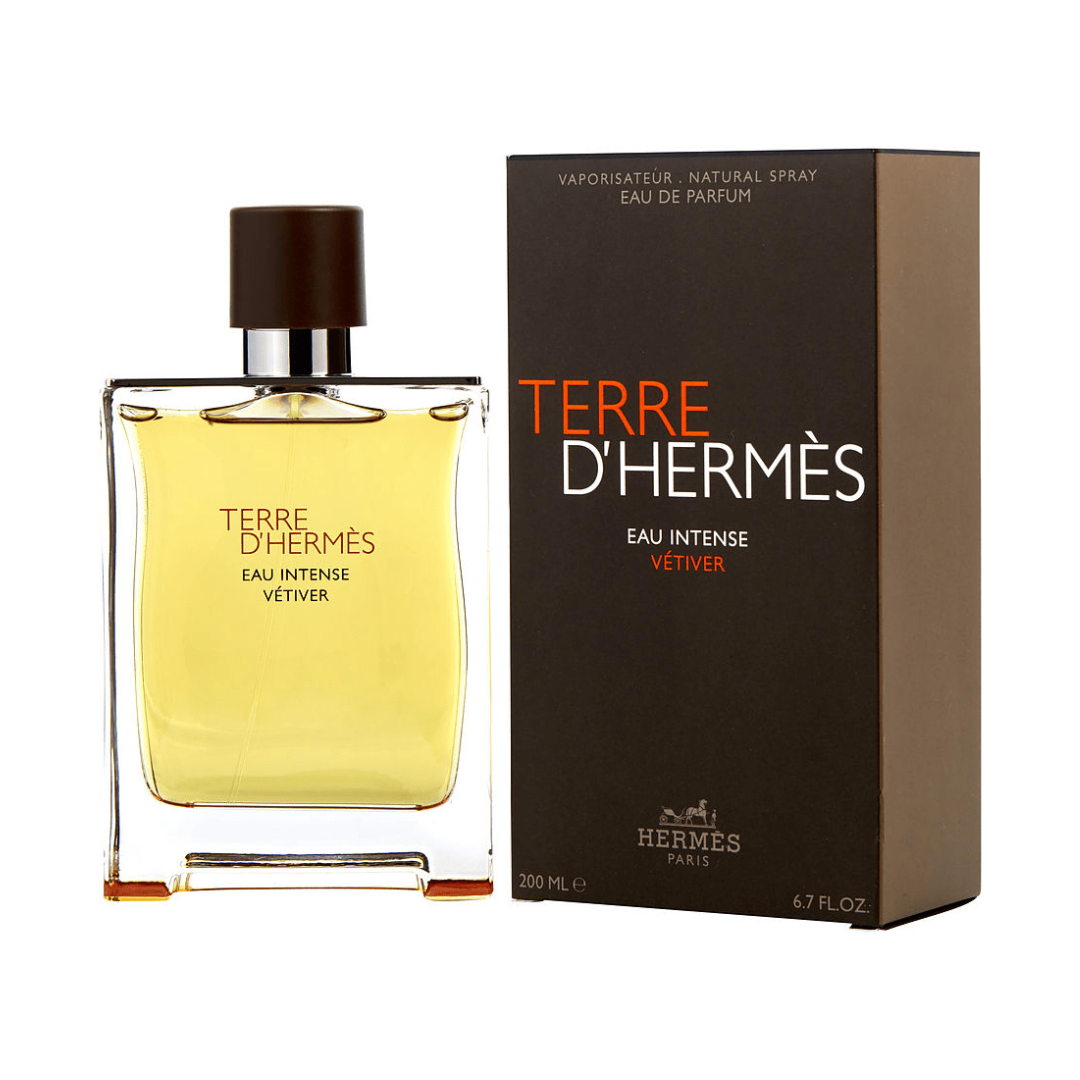 Colonia TERRE D'HERMÈS 100ML