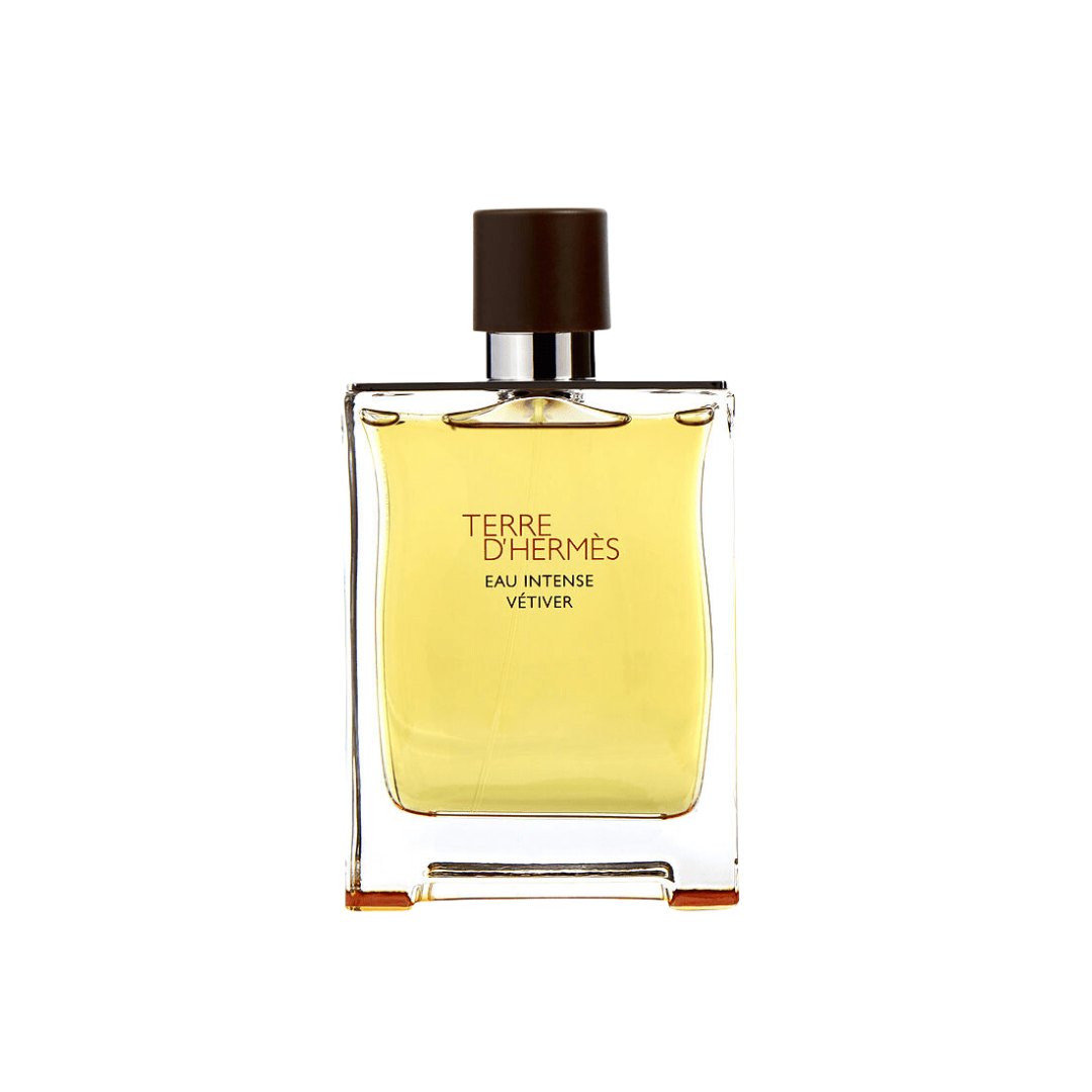 Colonia TERRE D'HERMÈS 100ML